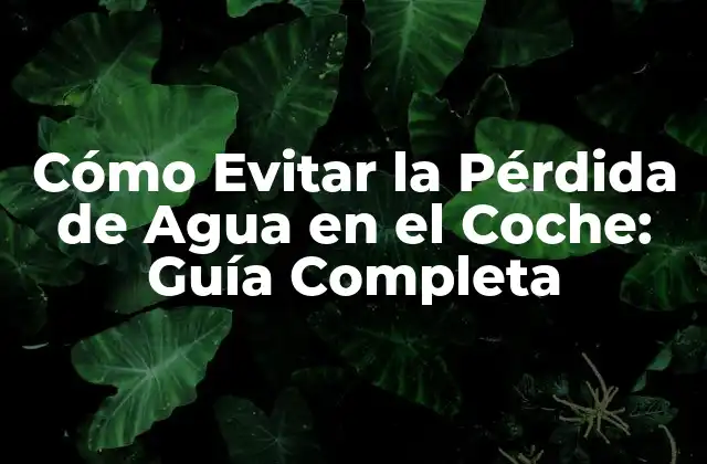 Cómo Evitar la Pérdida de Agua en el Coche: Guía Completa 2 Causas Comunes de la Pérdida de Agua en el Coche