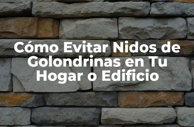 Cómo Evitar Nidos de Golondrinas en Tu Hogar o Edificio 2 ¿Por qué las Golondrinas Construyen Nidos en Edificios?