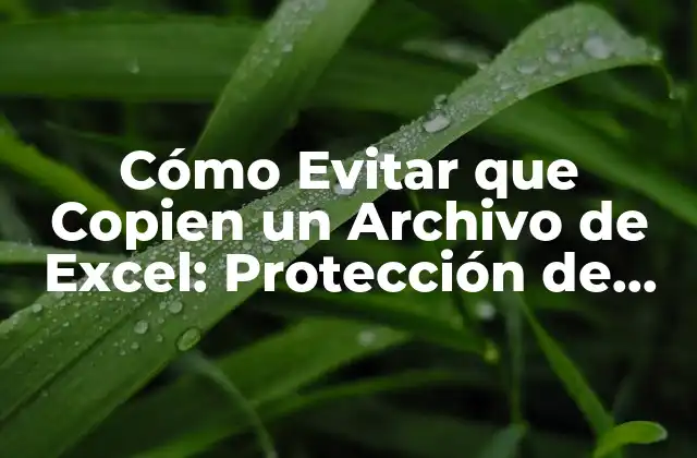 Cómo Evitar que Copien un Archivo de Excel: Protección de Contenido Confidencial