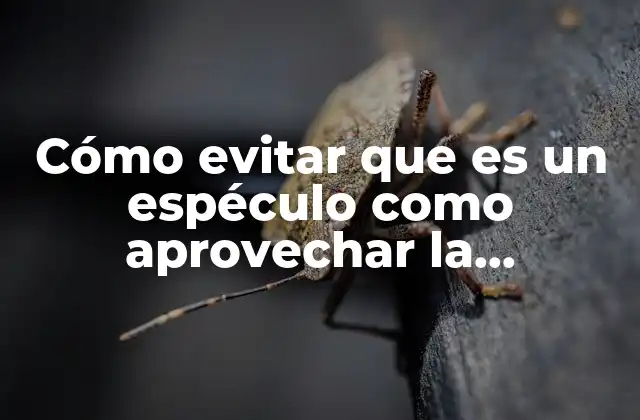 Cómo Evitar que es un Espéculo como Aprovechar la Curiosidad