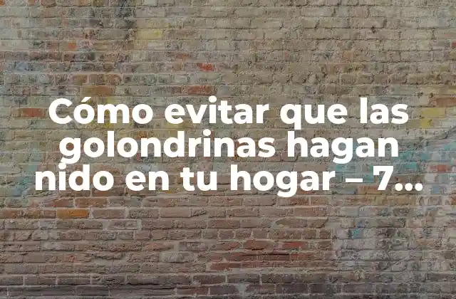 Cómo Evitar que las Golondrinas Hagan Nido en Tu Hogar – 7 Consejos Efectivos