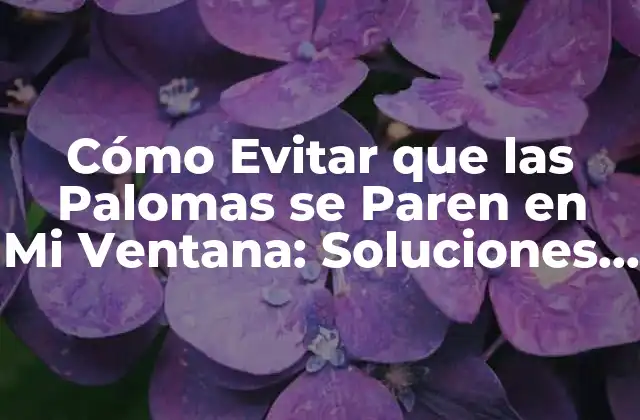 Cómo Evitar que las Palomas Se Paren en Mi Ventana: Soluciones Efectivas