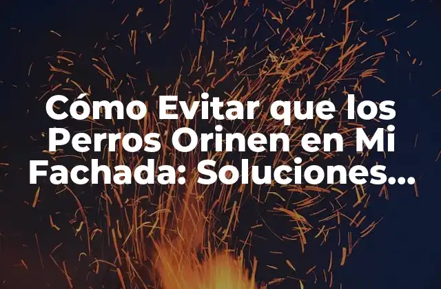 Cómo Evitar que los Perros Orinen en Mi Fachada: Soluciones Efectivas