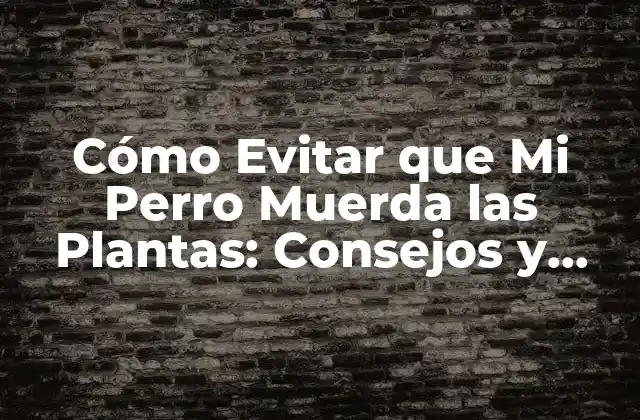 Cómo Evitar que Mi Perro Muerda las Plantas: Consejos y Soluciones 2 ¿Por qué los Perros Muerden las Plantas?