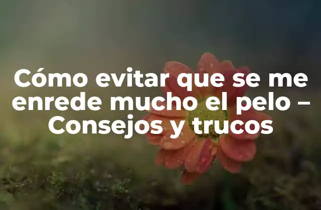 Cómo Evitar que Se Me Enrede Mucho el Pelo – Consejos y Trucos