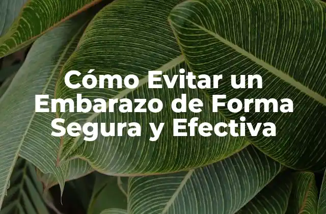 Cómo Evitar un Embarazo de Forma Segura y Efectiva