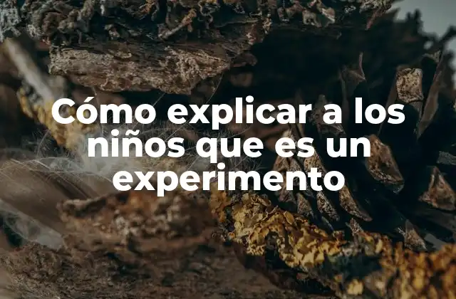 La importancia de los experimentos en la formación infantil