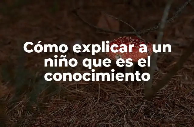 Cómo Explicar a un Niño que es el Conocimiento