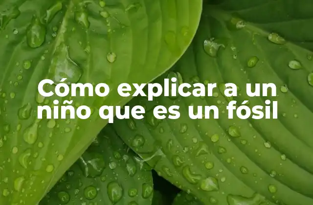 Cómo Explicar a un Niño que es un Fósil