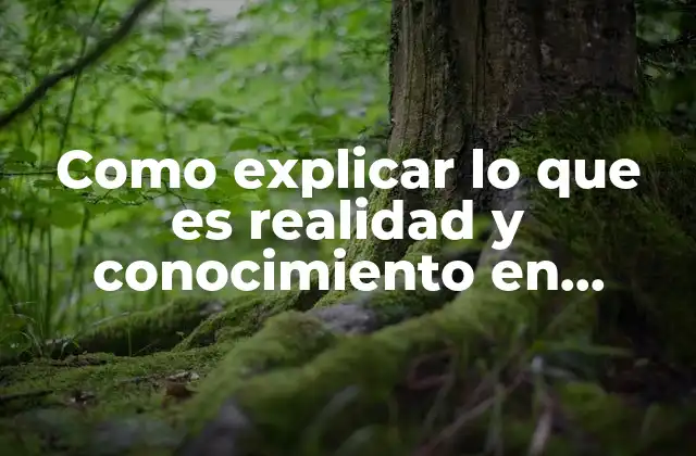 Como Explicar Lo que es Realidad y Conocimiento en Dinamicas