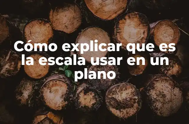 Cómo Explicar que es la Escala Usar en un Plano