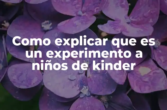 Como Explicar que es un Experimento a Niños de Kinder