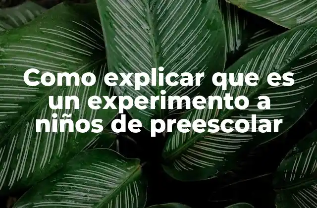 Como Explicar que es un Experimento a Niños de Preescolar