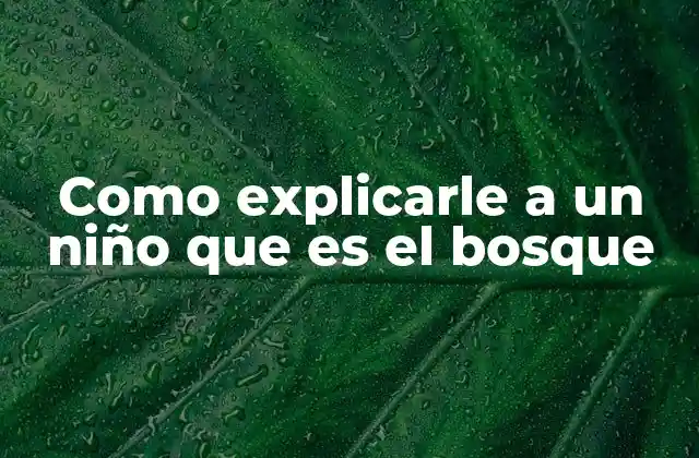 La importancia de enseñar sobre los bosques desde la infancia