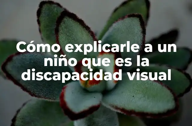 Cómo Explicarle a un Niño que es la Discapacidad Visual