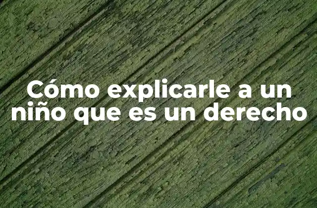 Cómo Explicarle a un Niño que es un Derecho
