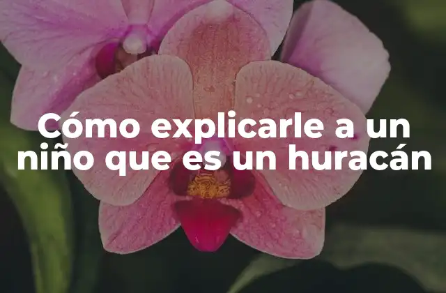 Cómo Explicarle a un Niño que es un Huracán