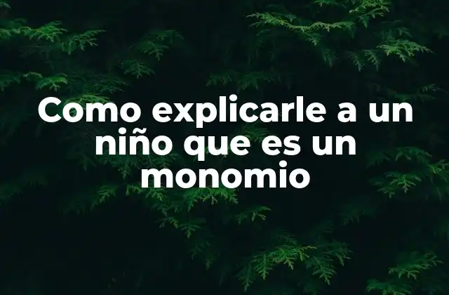 Como Explicarle a un Niño que es un Monomio 2 La importancia de enseñar monomios a los niños de forma visual