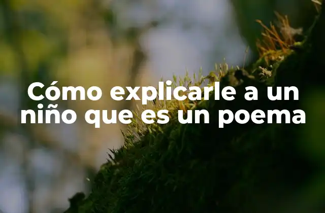 Cómo Explicarle a un Niño que es un Poema