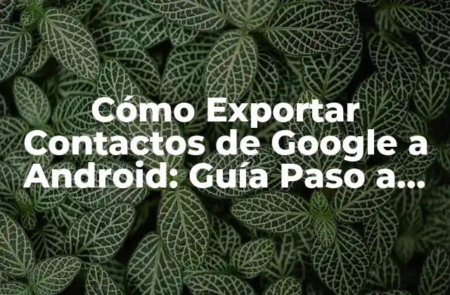 Cómo Exportar Contactos de Google a Android: Guía Paso a Paso