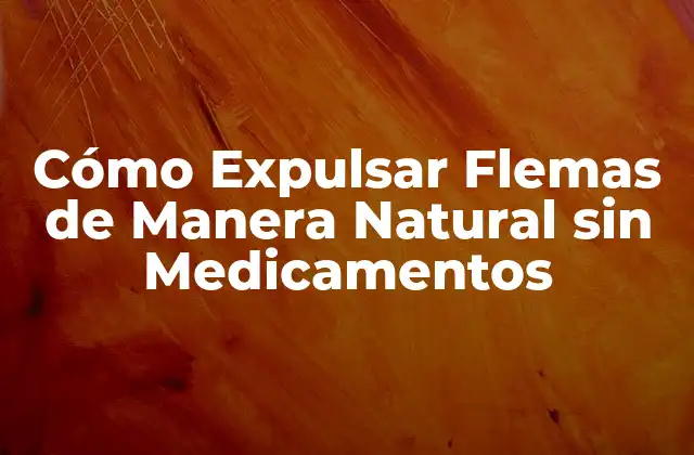 Cómo Expulsar Flemas de Manera Natural sin Medicamentos