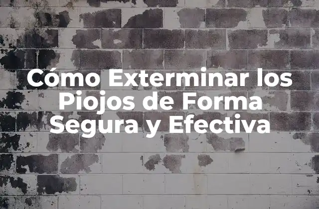 Cómo Exterminar los Piojos de Forma Segura y Efectiva