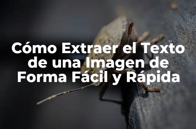 Cómo Extraer el Texto de una Imagen de Forma Fácil y Rápida
