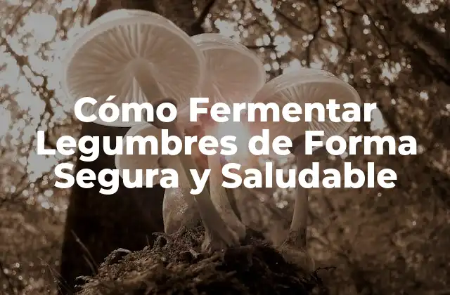 Cómo Fermentar Legumbres de Forma Segura y Saludable 2 Beneficios de la Fermentación de Legumbres