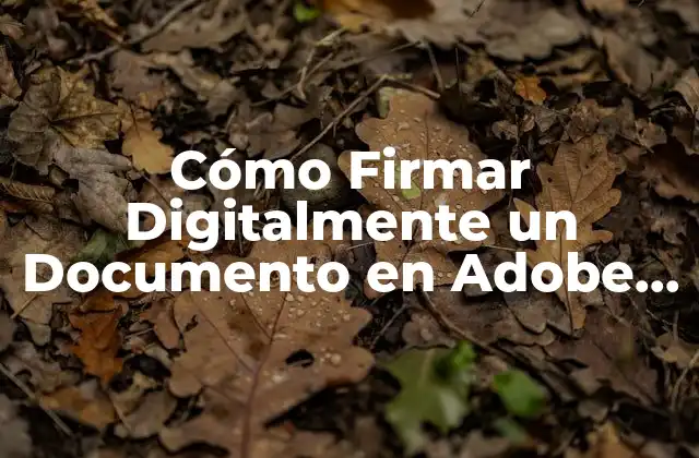 Cómo Firmar Digitalmente un Documento en Adobe Acrobat