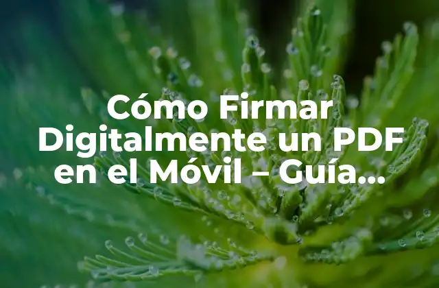 Cómo Firmar Digitalmente un Pdf en el Móvil – Guía Práctica