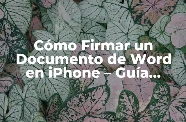 Cómo Firmar un Documento de Word en Iphone – Guía Práctica