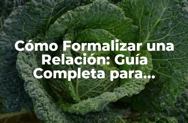 Cómo Formalizar una Relación: Guía Completa para Consolidar Tu Unión