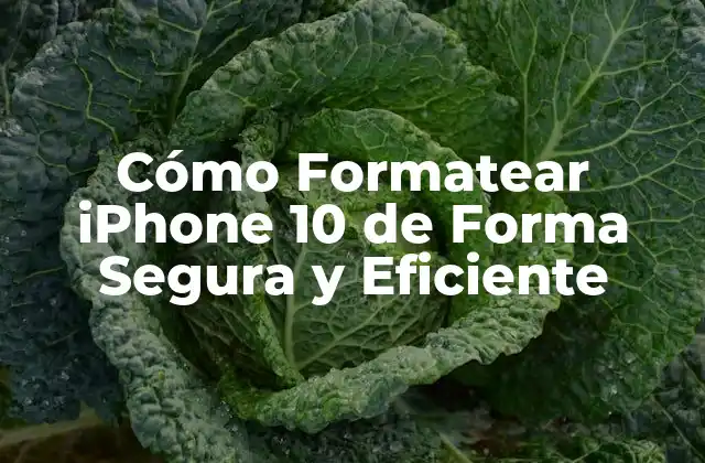 Cómo Formatear Iphone 10 de Forma Segura y Eficiente