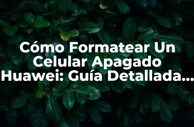 ¿Por qué Es Importante Formatear Un Celular Apagado Huawei?