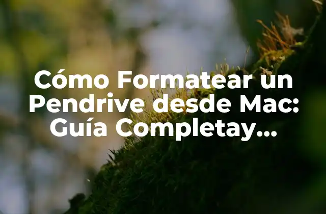 Cómo Formatear un Pendrive desde Mac: Guía Completay Actualizada