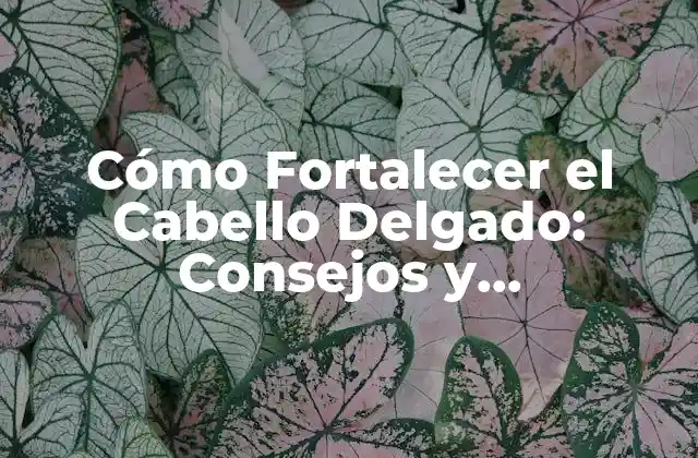 ¿Por qué mi Cabello es Tan Delgado?