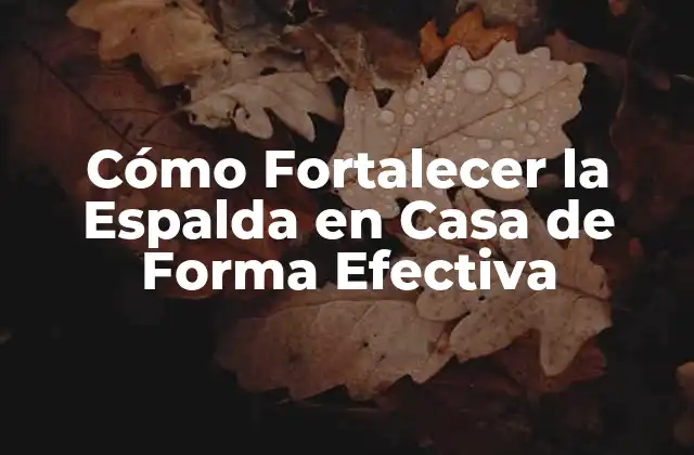 Cómo Fortalecer la Espalda en Casa de Forma Efectiva