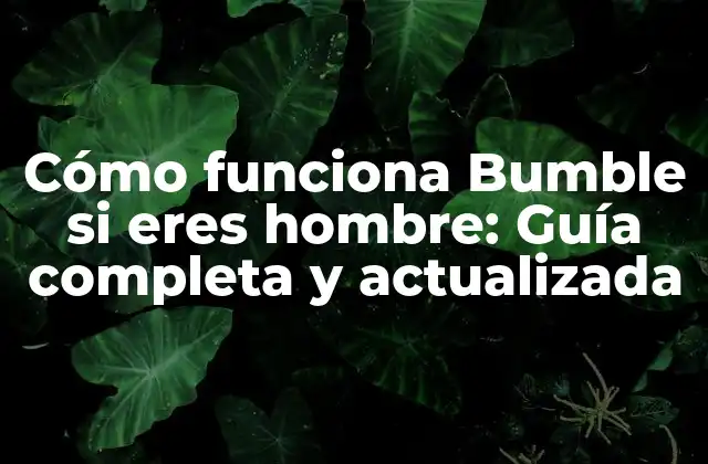 Cómo Funciona Bumble Si Eres Hombre: Guía Completa y Actualizada