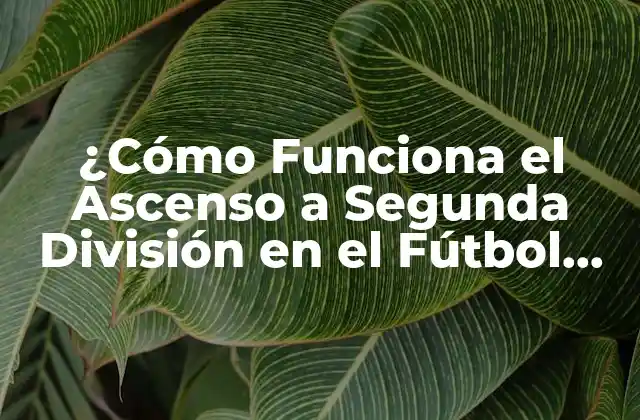 ¿cómo Funciona el Ascenso a Segunda División en el Fútbol Español?