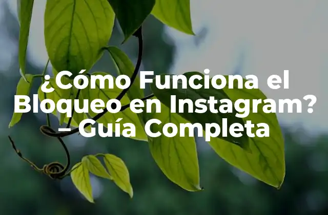 ¿cómo Funciona el Bloqueo en Instagram? – Guía Completa