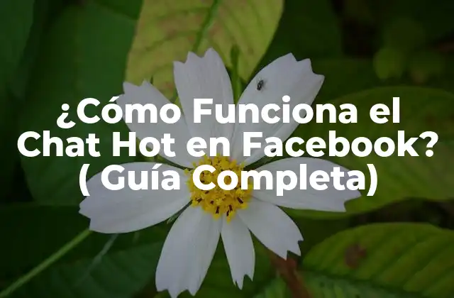 ¿cómo Funciona el Chat Hot en Facebook? ( Guía Completa)
