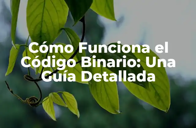 La Historia del Código Binario