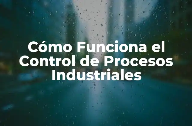 Cómo Funciona el Control de Procesos Industriales