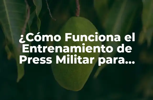 ¿cómo Funciona el Entrenamiento de Press Militar para Desarrollar Músculos? 2 ¿Qué es el Entrenamiento de Press Militar?