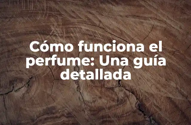 Cómo Funciona el Perfume: una Guía Detallada