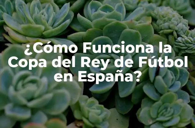 ¿cómo Funciona la Copa Del Rey de Fútbol en España?