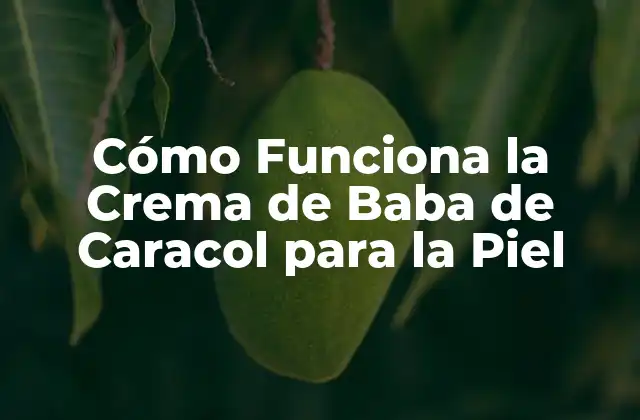 Cómo Funciona la Crema de Baba de Caracol para la Piel
