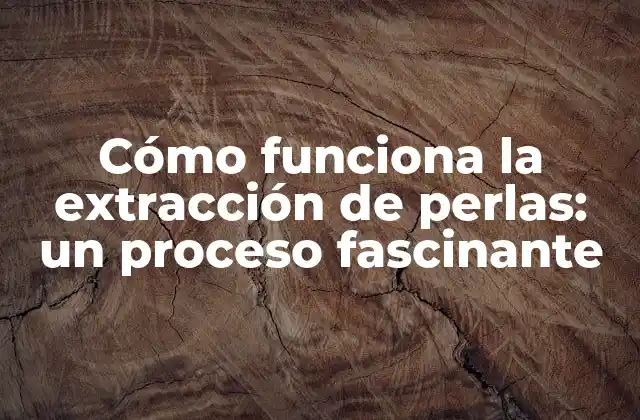 Cómo Funciona la Extracción de Perlas: un Proceso Fascinante