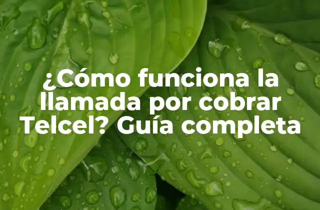 ¿cómo Funciona la Llamada por Cobrar Telcel? Guía Completa