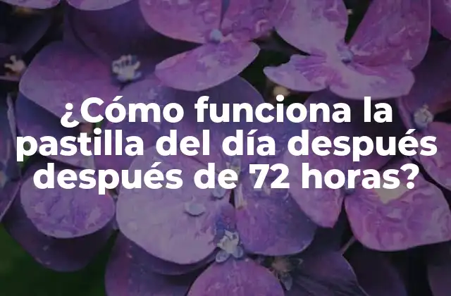 ¿cómo Funciona la Pastilla Del Día Después Después de 72 Horas?